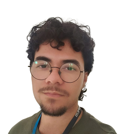Julio Cesar Bueno Silva Filho