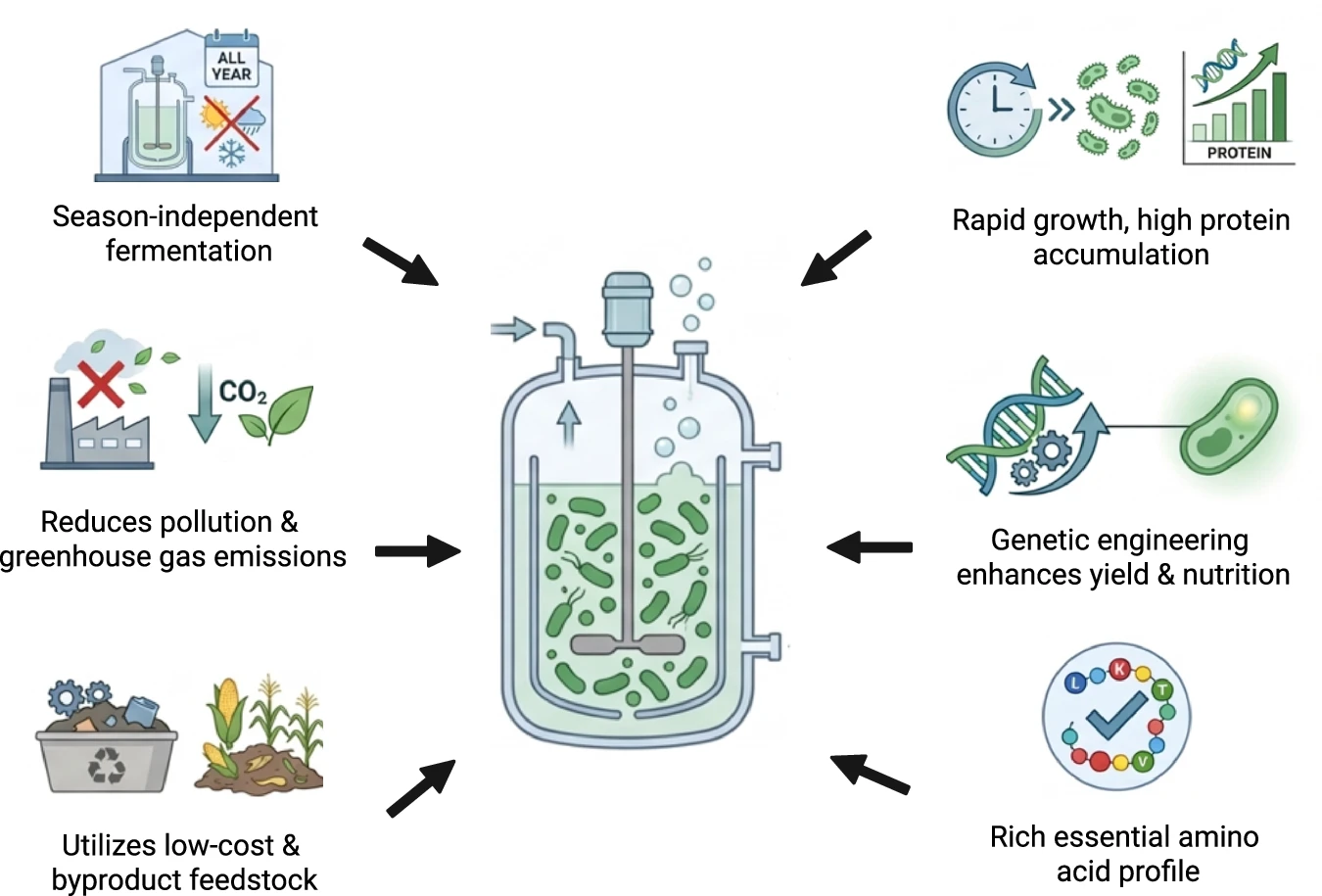 Microbial Proteins barriers