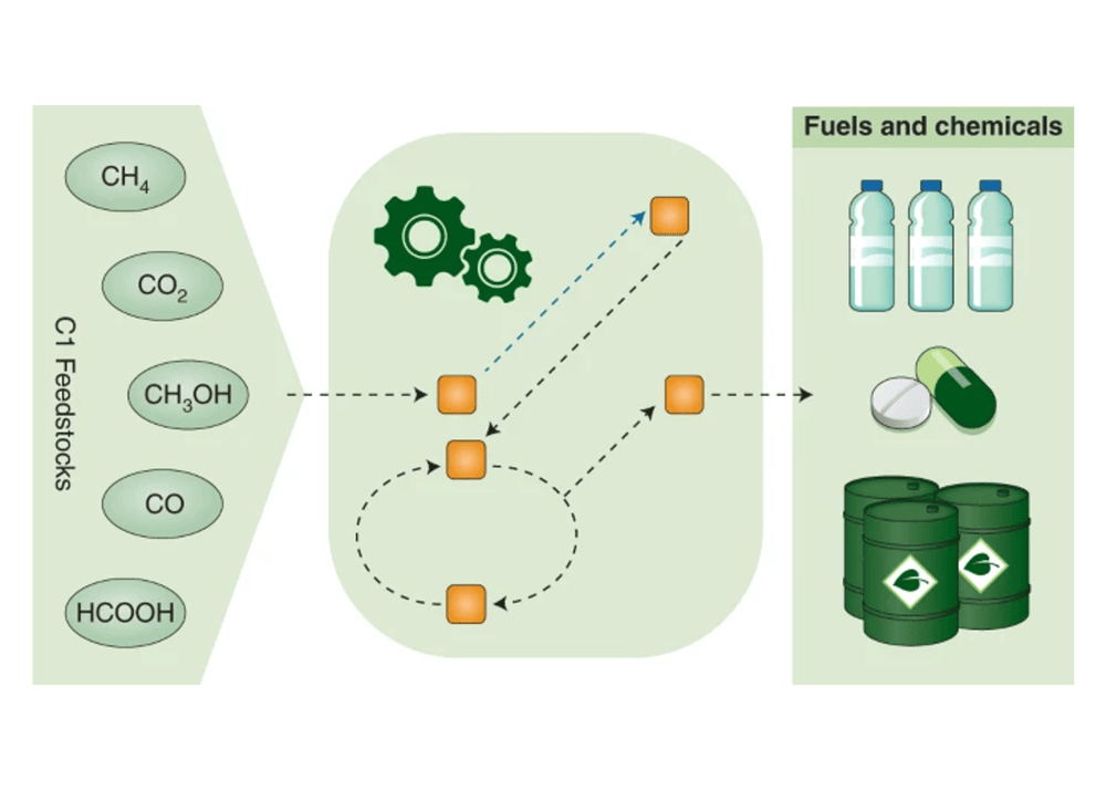 C1 Utilisation review