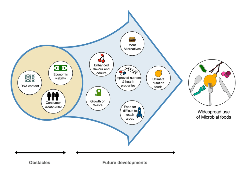 Microbial food review